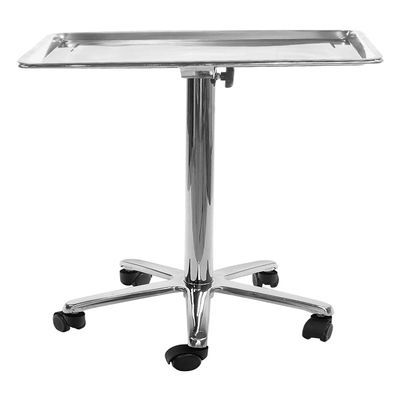 SKINACT Stainless Steel Salon Tray On Wheels