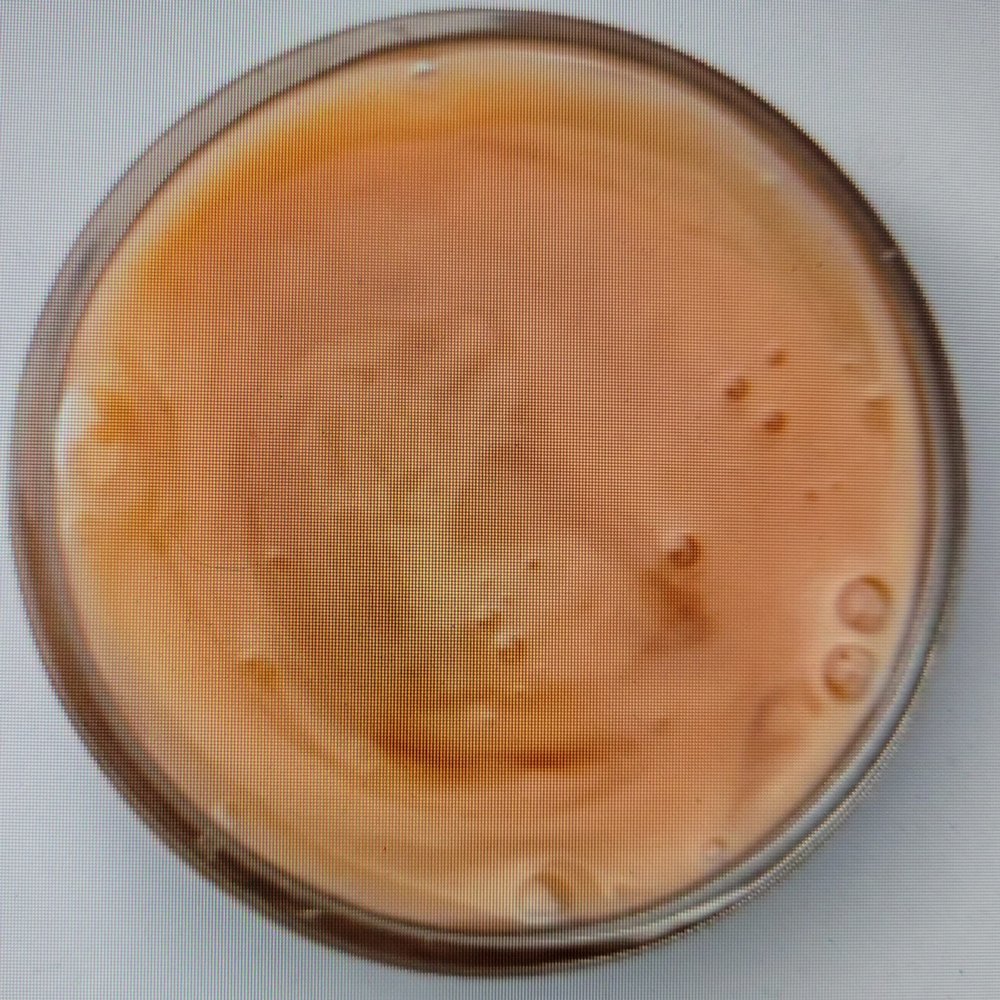 Mud Gel Facial Cleanser Environment Safe