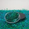 KARIZMA Poison Ivy Body Glitter. 10g Chunky Hair Eye and Body Shimmers for Women. Rave, Festival Accessories, Cosmetic Makeup. Loose Set view 3