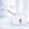 Ayzal Facial Humidifier, Moisturizing Artifact, Chinese Herbal Medicine Steamer view 3