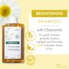 Klorane Brightening Shampoo with Chamomile - Enhances Highlights and Brightens Blonde Hair - Softens and Enhances Shine - Ultra-Gentle Formula - Dermatologist-Tested, Vegan - 13.5 fl. oz. view 2