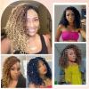 14Inch Crochet Box Braids Hair -8 Packs Goddess Box Braids Crochet Hair Bohemian Curly Crochet Hair Pre-looped Crochet Hair for Black Women(1B/Purple) view 2
