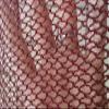 African exfoliating net, African exfoliating Body Sponge, African wash net (African exfoliating net Pink, 10.00) view 4