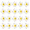 GANAZONO 20pcs Plumeria Flower Hair Clips Decorative Hair Accessories for Women Girls Non- Barrettes for Elegant Styles Travel-friendly view 1