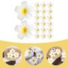 GANAZONO 20pcs Plumeria Flower Hair Clips Decorative Hair Accessories for Women Girls Non- Barrettes for Elegant Styles Travel-friendly view 2