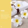 GANAZONO 20pcs Plumeria Flower Hair Clips Decorative Hair Accessories for Women Girls Non- Barrettes for Elegant Styles Travel-friendly view 3