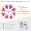 EMEDA Lash Shampoo for Lash Extensions 100ml Eyelash Extension Cleanser Foam Soap Lash Bath & Premade Fans Eyelash Extensions 600 pcs Pointy Thin Base Promade Loose Fans (Lash Shampoo&6D 0.07 D 8-15) view 3