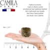 Camila Paris CP2967 French Hair Ponytail Holders Ties, Oval, Handmade, Green, Strong Hold Grip Elastic Band Hair Clips for Women, No Slip Soft Flexible Styling Girls Hair Accessories, Made in France view 2