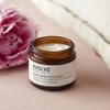 Evolve Organic Beauty - Nightly Renew Facial Cream | Nourish, Smooth, Plump, Refresh | Bio Retinol, Peony, Natural Essential Oil Blend | Small Batch, Vegan Clean Beauty (2 oz | 60 ml) Package May Vary view 3