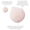 Evolve Organic Beauty - The Pink Dream Duo | Small Batch, Vegan Clean Beauty Gift Set (2 Pieces) Packaging May Vary view 4