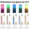 Maydear Chameleon Lipstick 5 Colors Set, Long Lasting Waterproof Colourful Diamond Shimmer Lip Gloss for Women Girls Makeup kit view 2