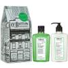 C.O. Bigelow Rosemary Mint Apothecary Duo Skin Care Gift Set, Body Wash & Body Lotion, Liquid Soap & Moisturizing Lotion, Set of 2, 10 Fl Oz view 1