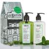 C.O. Bigelow Rosemary Mint Apothecary Duo Hand Care Gift Set, Hand Wash & Body Lotion, Liquid Soap & Moisturizing Lotion, Set of 2, 10 Fl Oz view 1