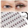 Bodermincer 240 Bundles D Curl 10D 0.1mm Thickness Individual Eyelash Extensions eyelashes Cluster Lashes Natural False Eyelashes Bundles (17mm) view 4