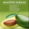 Avoka Naturals Rica Brazilian Wax- 800ml view 3