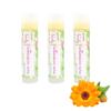 Nature's Silk Lip Balm, Organic (Intensive Care) view 1
