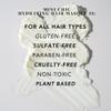 BE CHIC Mini Hydrating Hair Masque  Plant-Based, Damage Repair, Deep Conditioning, TSA-Approved, For All Hair Types view 4