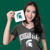Michigan State University Eyeshadow Palette view 3