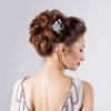 inSowni 20 Pack Classy Dusty Blue Flower Bridal Wedding Hair Side Combs+Floral Hair Pins+Twist Spiral Pearl Hair Pins Clips Pieces Formal Prom Headpieces Accessories for Brides Bridesmaids Women Girls view 4