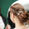 inSowni 20 Pack White Dusty Pink Blue Flower Bridal Wedding Hair Side Combs+Flower Hair Pins+Twist Spiral Pearl Hair Pins Floral Hair Pieces Headpieces Accessories for Brides Bridesmaids Women Girls view 3