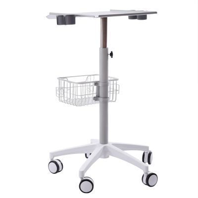 Iron Salon Instrument Tray, Height Adjustable Trolley Cart Tray Station on Wheels for Salon Tattoo Spa Beauty Service Holder Tool Storage(White,Iron)