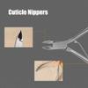 Cuticle Trimmer, Cuticle Nippers Scissors, Professional Stainless Steel Cuticle Cutter Remover, Dead Skin Remover Pedicure Manicure Tools for Fingernails and Toenails at Home/Spa/Salon view 3