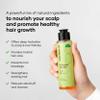 Cureskin Follicular Hair Oil | Nourishes & Strengthens with Annatto, Buriti, Brazil Nut and Coconut Oil, 3.38 Fl Oz (Pack of 1) view 2