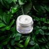 BIONES Ultimate Repair Cream - DMZ Natural Plant Complex Anti-Aging Wrinkle Repair Retinol Cream for Face - Face Moisturizer for Women - 8 Peptides complex, Collagen, Ceramides, Niacinamide - 2.46 oz view 3