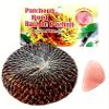 6 PCS AURA VARIETY Patchouli Bundle with Rose Quartz 1 oz. 28.3 g view 1