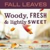 MRS. MEYER'S CLEAN DAY Liquid Hand Soap, Fall Leaves Scent, 12.5 fl oz (Pack of 1) view 3