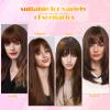 2Pcs Bangs Hair Clip in Extensions, French Hair Bangs Fringe Hair Extension One Piece Clip on Front Bangs Hairpiece Forehead Topper, Clip in Fringe Wigs Synthetic for Girls Women, Fashion Light Brown view 3