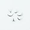 10D Lashes. 1000 Premade Volume Fans. Eyelash Extensions. Handmade! (10D 007 Curl C, 09mm) view 4