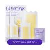 Flamingo Wax Strips for Hair Removal, Women's Body Wax Kit, Pack of 2 view 1