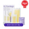 Flamingo Wax Strips for Hair Removal, Women's Body Wax Kit, Pack of 2 view 2