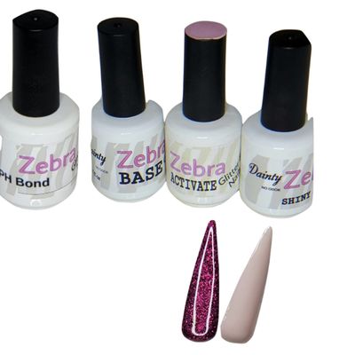 2 Color Dip Powder Starter Kit (#2 Blackberry Buckle NSB2 & French Pink DP118 Professional Liquids)