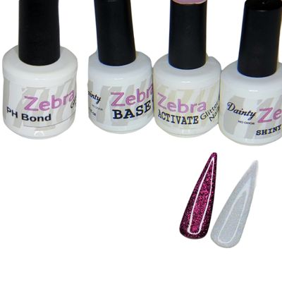2 Color Dip Powder Starter Kit (#3 Blackberry Buckle NSB2 & Opalessence DP383 Professional Liquids)