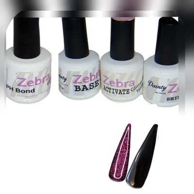 2 Color Dip Powder Starter Kit (#1 Blackberry Buckle NSB2 & Midnight Black DP215 Professional Liquids)
