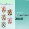 BBRATS Small Hair Clips 5Pcs Hair Accessories For Women Tiny Hair Clips Butterfly Hair Accessories Flower Claw Clips For Hair Small Hair Clip Toddler Hair Accessories Fancy Hair Clips Cute Clips 5Pcs view 4