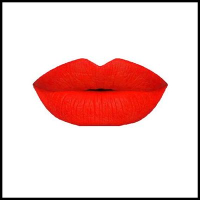 Dlali Robinson Cosmetics -Color Me Bad -Premium,Long-Lasting,Moisturizing,Kiss-Proof,Matte Liquid Lipstick (Supernova)
