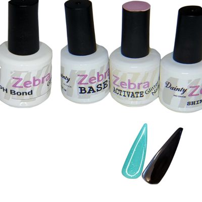 2 Color Dip Powder Starter Kit (2 Color Dip Powder Starter Kit (#21 A Teal In Time DP883 & Midnight Black DP215, Dainty (No Odor) Liquids)