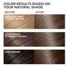 Herbal Light Brown Hair Color Shampoo - 3 in 1 Lasting Hair Dye for Women & Men, 17.60 Fl Oz view 4