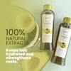 ANYELUZ Avocado Moisturizing Shampoo, Enriched with Omega 3, 6, 9, and Biotin, Repairs and Protects Damaged Hair Fibers, Enhances Hair Shine and Guards Against Sun Damage view 2