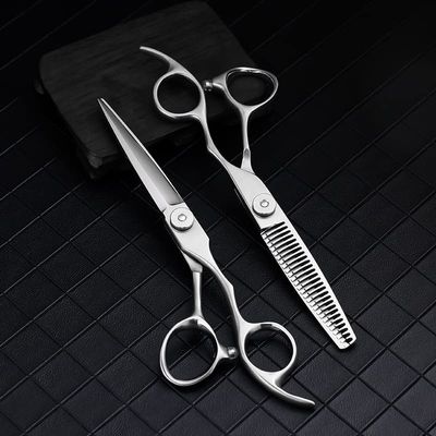 Professional Hair Cutting Shears, 6 inch professional japan 440 steel Upscale Silver hair scissors set cutting barber salon haircut thinning shears hairdressing scissors (Size : Set)