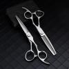 Professional Hair Cutting Shears, 6 inch professional japan 440 steel Upscale Silver hair scissors set cutting barber salon haircut thinning shears hairdressing scissors (Size : Set) view 1