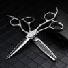 Professional Hair Cutting Shears, 6 inch professional japan 440 steel Upscale Silver hair scissors set cutting barber salon haircut thinning shears hairdressing scissors (Size : Set) view 2
