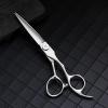 Professional Hair Cutting Shears, 6 inch professional japan 440 steel Upscale Silver hair scissors set cutting barber salon haircut thinning shears hairdressing scissors (Size : Set) view 3