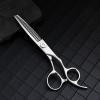 Professional Hair Cutting Shears, 6 inch professional japan 440 steel Upscale Silver hair scissors set cutting barber salon haircut thinning shears hairdressing scissors (Size : Set) view 4