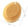 FOMIYES 5Pcs Honeycomb Natural Sea Sponge, Shower Bath Sponge with Hanging Rope, Body Exfoliating Sponge for Adults view 2