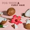SheaMoisture Coconut & Hibiscus Curl & Shine Shampoo & Conditioner for Bouncy Curls, Frizz Control, Family-Size Pump Bottles, 24 Oz Ea view 4