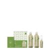 Tea Tree Hemp Holiday Gift Set, Multitasking Products, For All Hair + Skin Types view 1